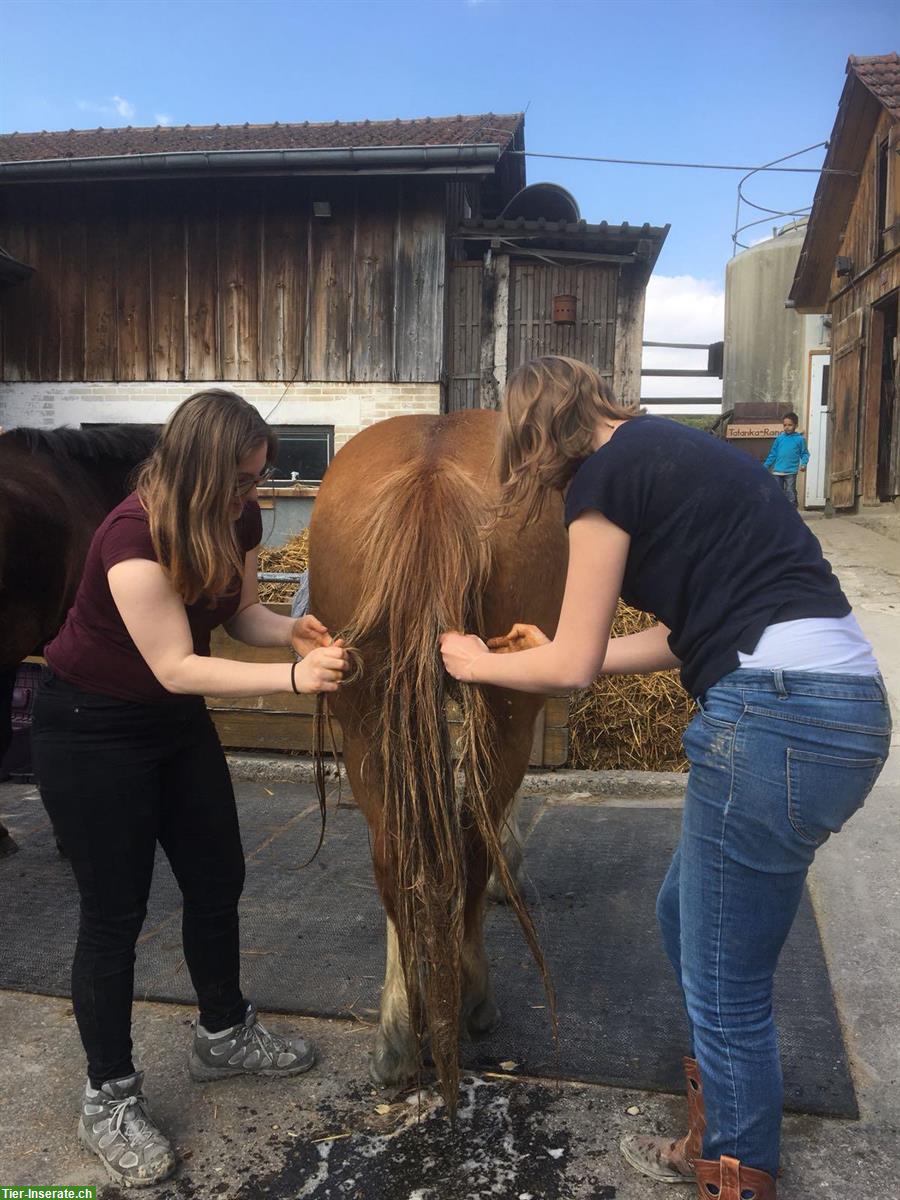 Bild 3: Volunteer Ferien für Erwachsene