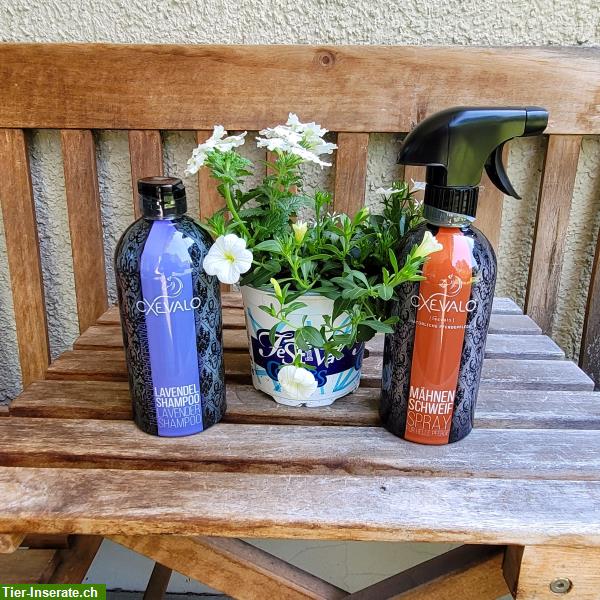 Neues Set Lavendel Shampoo mit Mähnen Schweif Spray helle Pferde