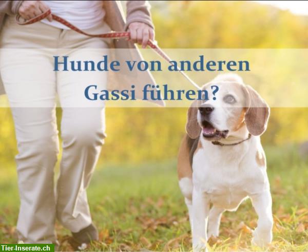 Bild 4: DogSharing | Finde einen Teilzeithund