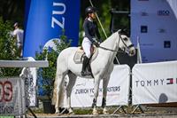 10-jähriger Wallach, Pony Francais Selle für Dressur & Springen