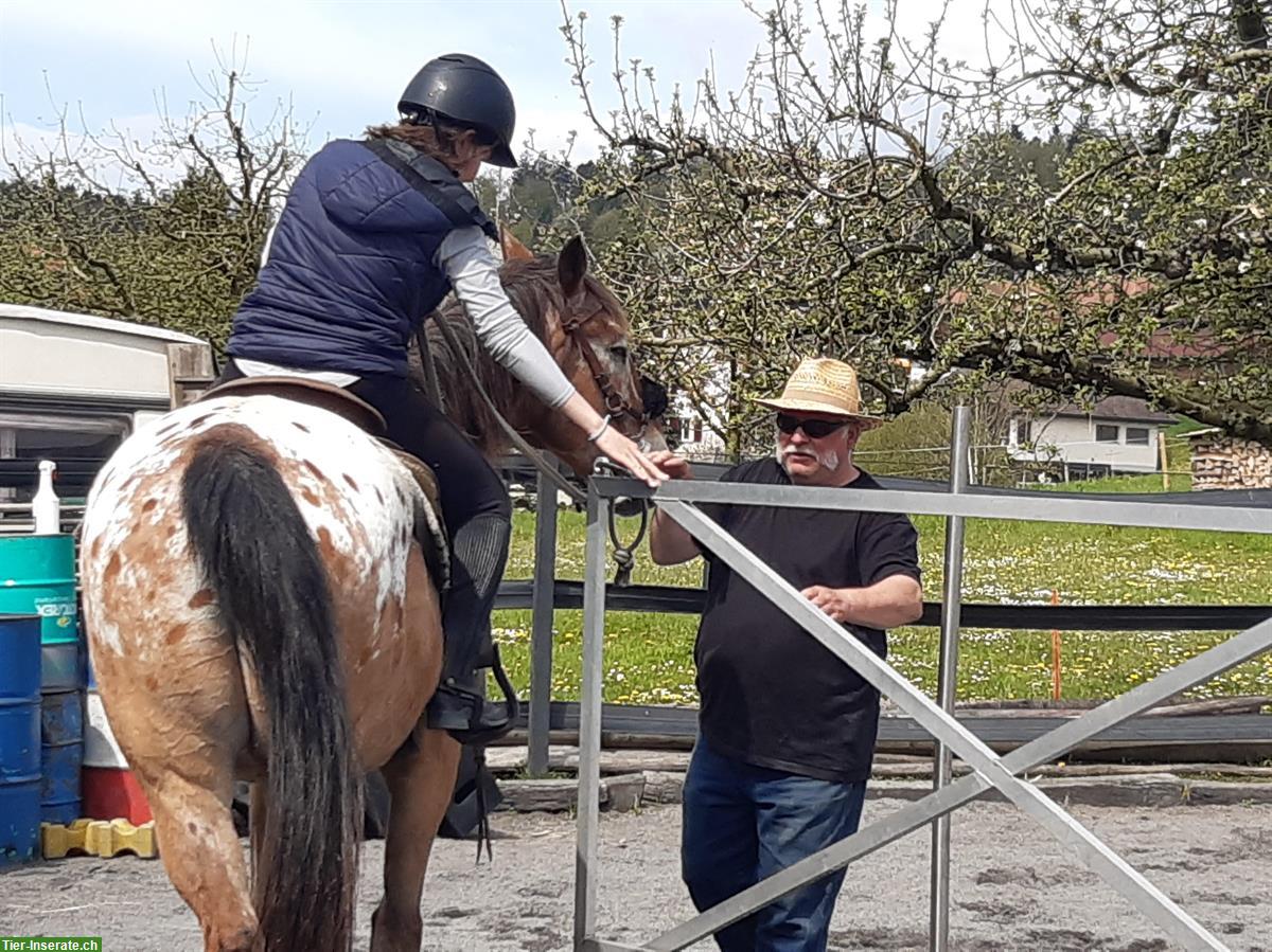 Bild 3: Ranch-Reitferien für Erwachsene 2024