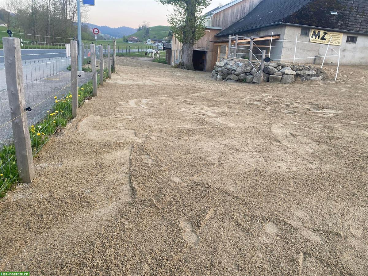 Bild 6: Offenstallplatz in kleiner, stabiler Herde in Huttwil BE