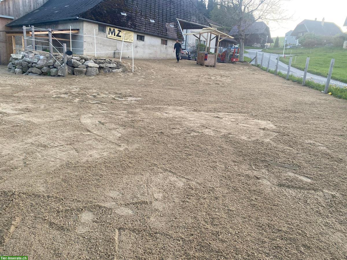 Bild 8: Offenstallplatz in kleiner, stabiler Herde in Huttwil BE