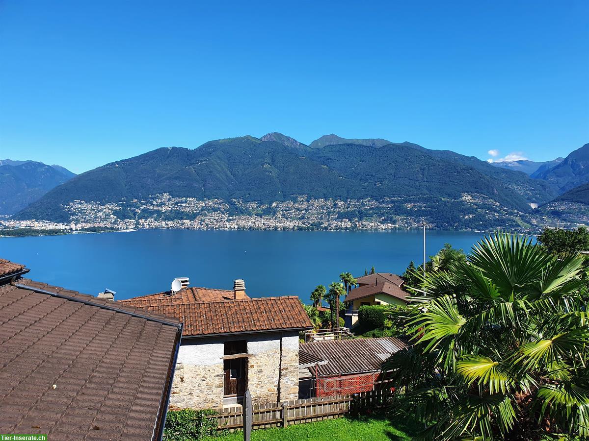 Vermieten 5,5 Zimmer Einfamilienhaus mit Seesicht im Tessin