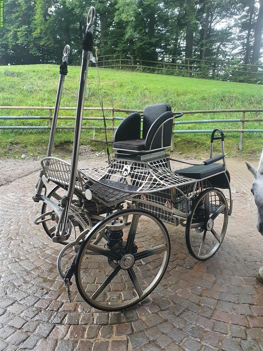 Kutsche/Marathonwagen von Kutschen Kurmann