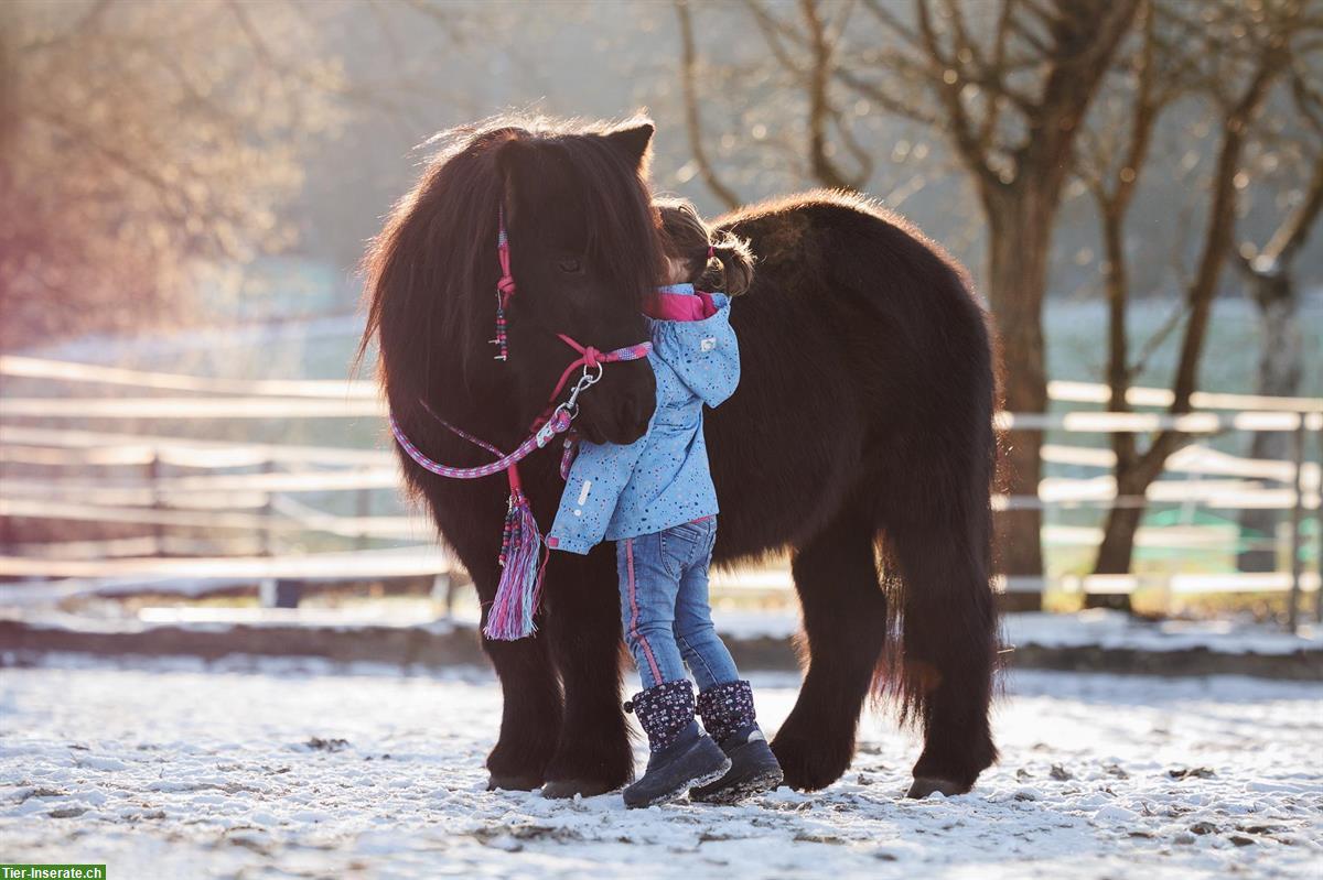 Kinder Geburtstag auf Ponyhof im Limmattal