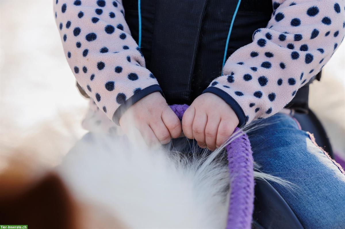 Bild 3: Kinder Geburtstag auf Ponyhof im Limmattal