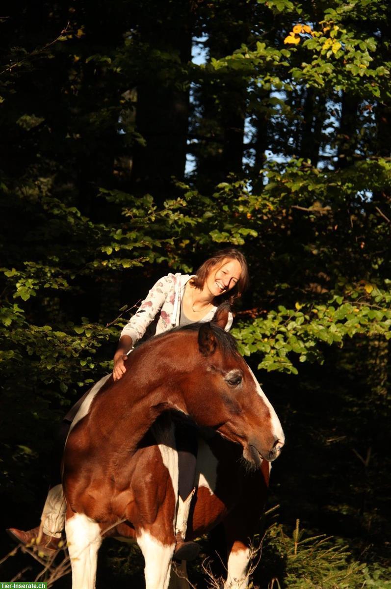 Private Reitstunden und Therapie für Kinder