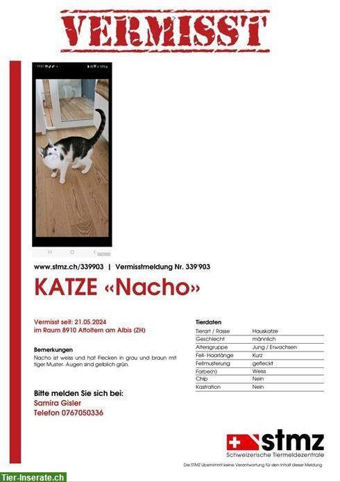 Kater Nacho vermisst im Raum Affoltern am Albis