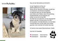 Hunde Patenschaft «Begegnungs- & Lebenshof Little Farm of Life»