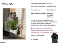 Katzen Patenschaft «Begegnungs- & Lebenshof Little Farm of Life»