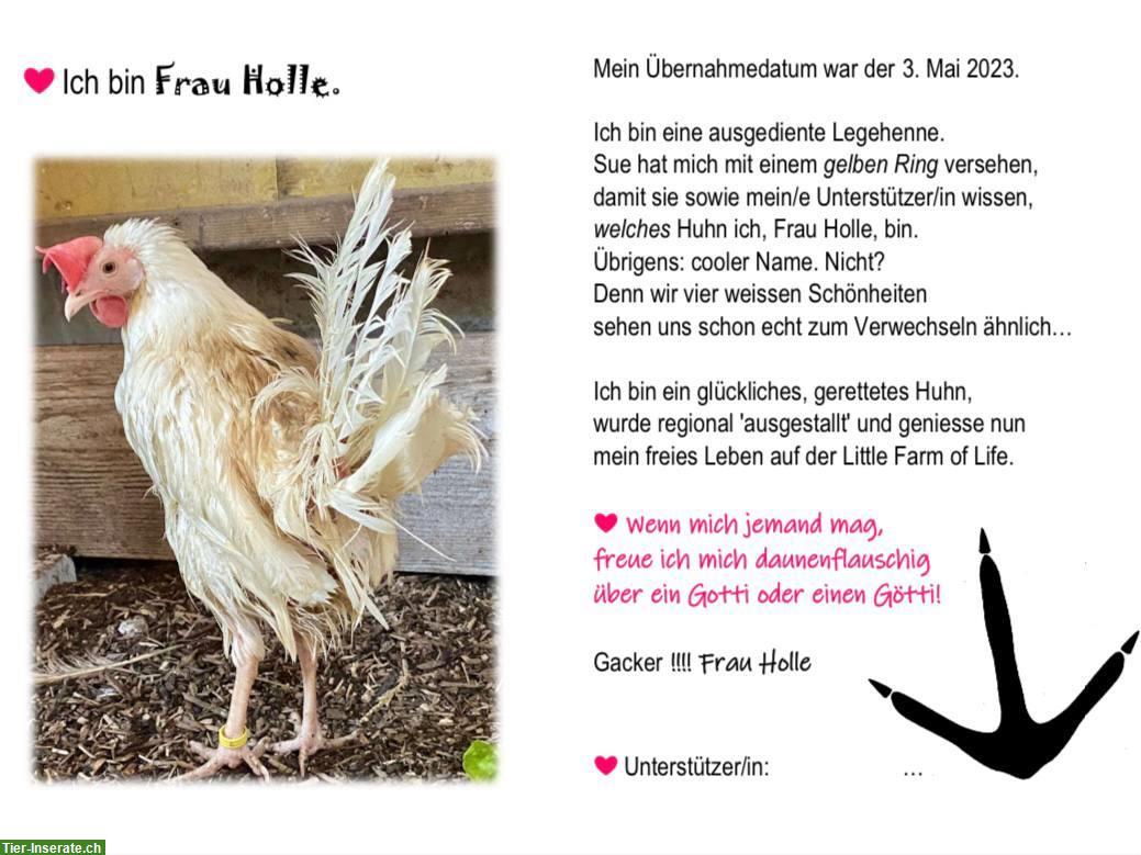 Bild 2: Hühnerpatenschaft für gerettete Legehennen bei «Little Farm of Life»