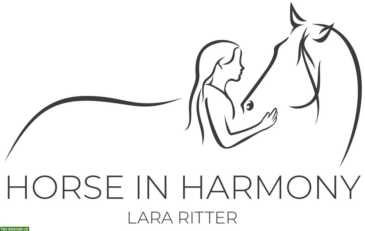 Horse In Harmony - mobiler Reitunterricht und Beritt