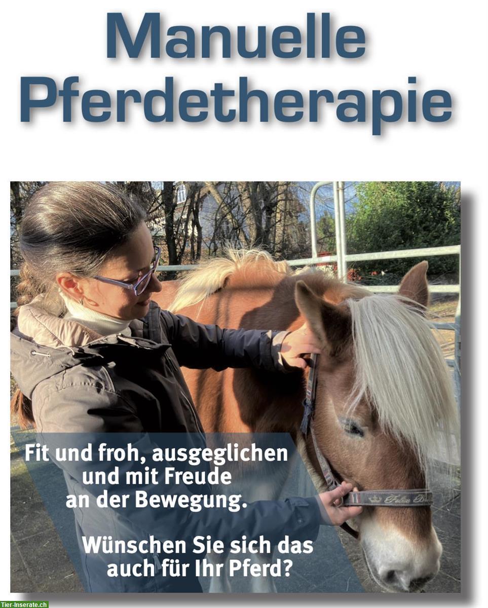 Bild 2: Manuelle Pferdetherapie