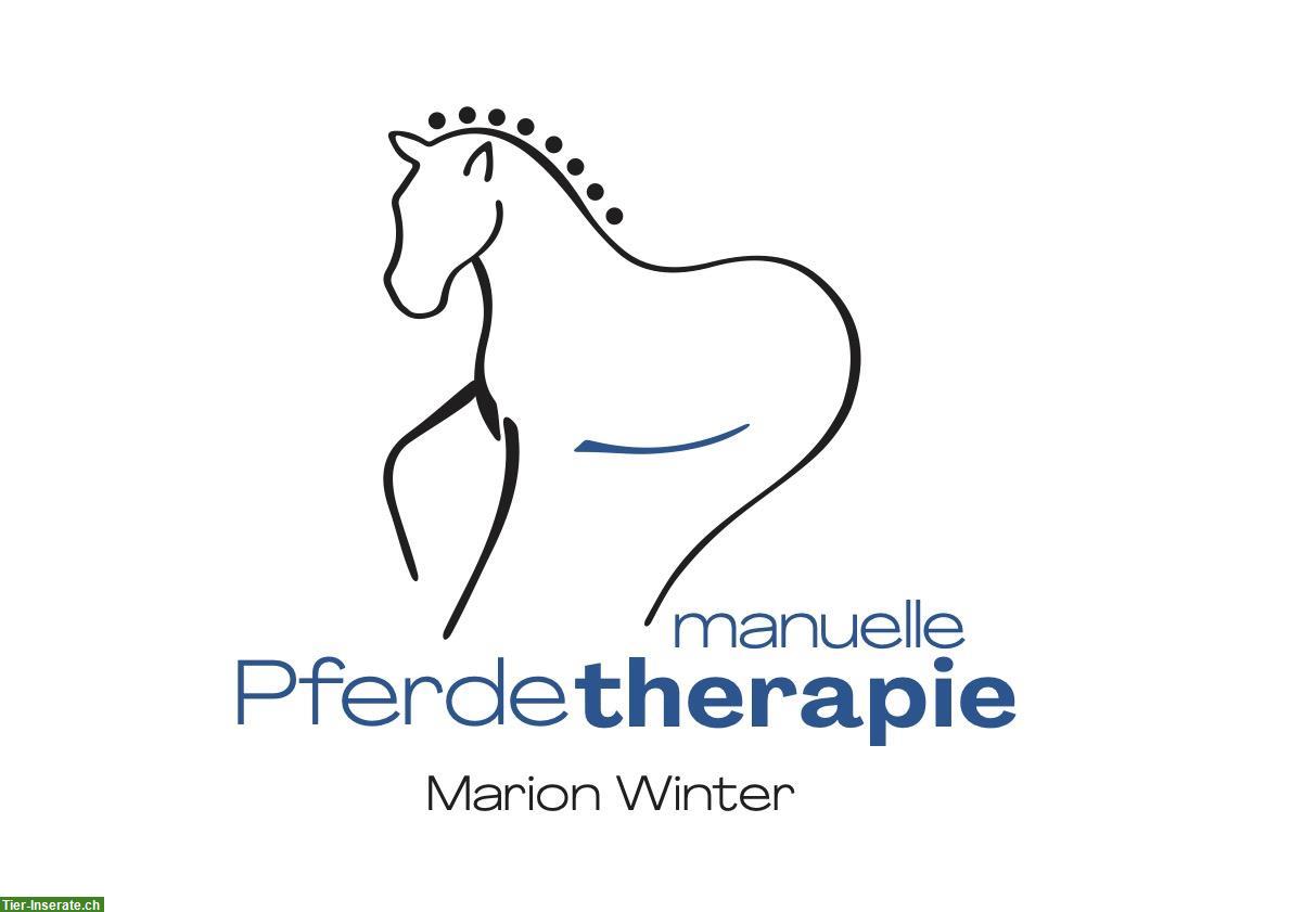 Bild 4: Manuelle Pferdetherapie