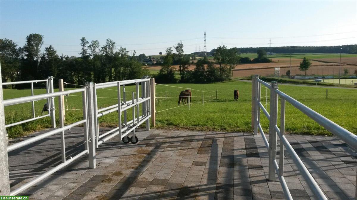 Bild 2: 1 Pferdeboxe zu vermieten in Eich LU