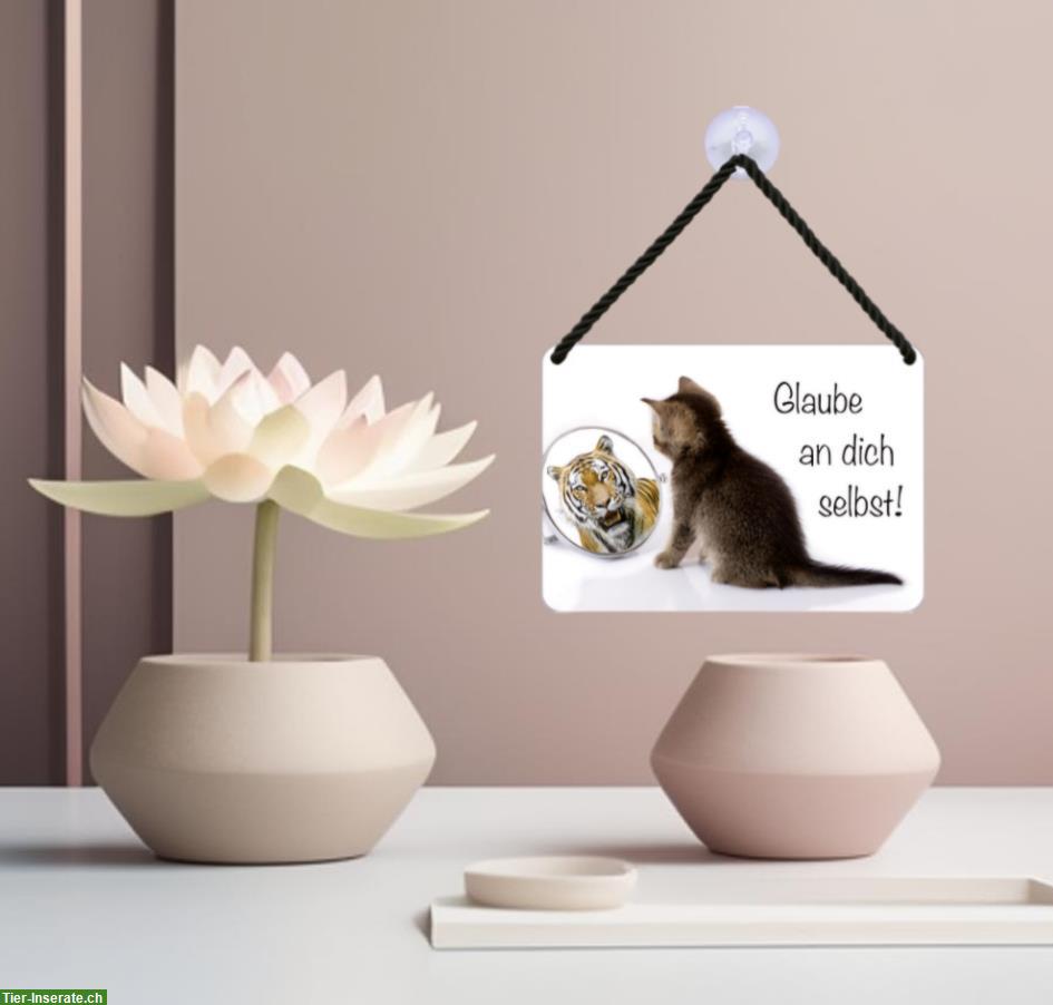 NEU: Katzen 🐱 Blechschild glaube an Dich selbst!