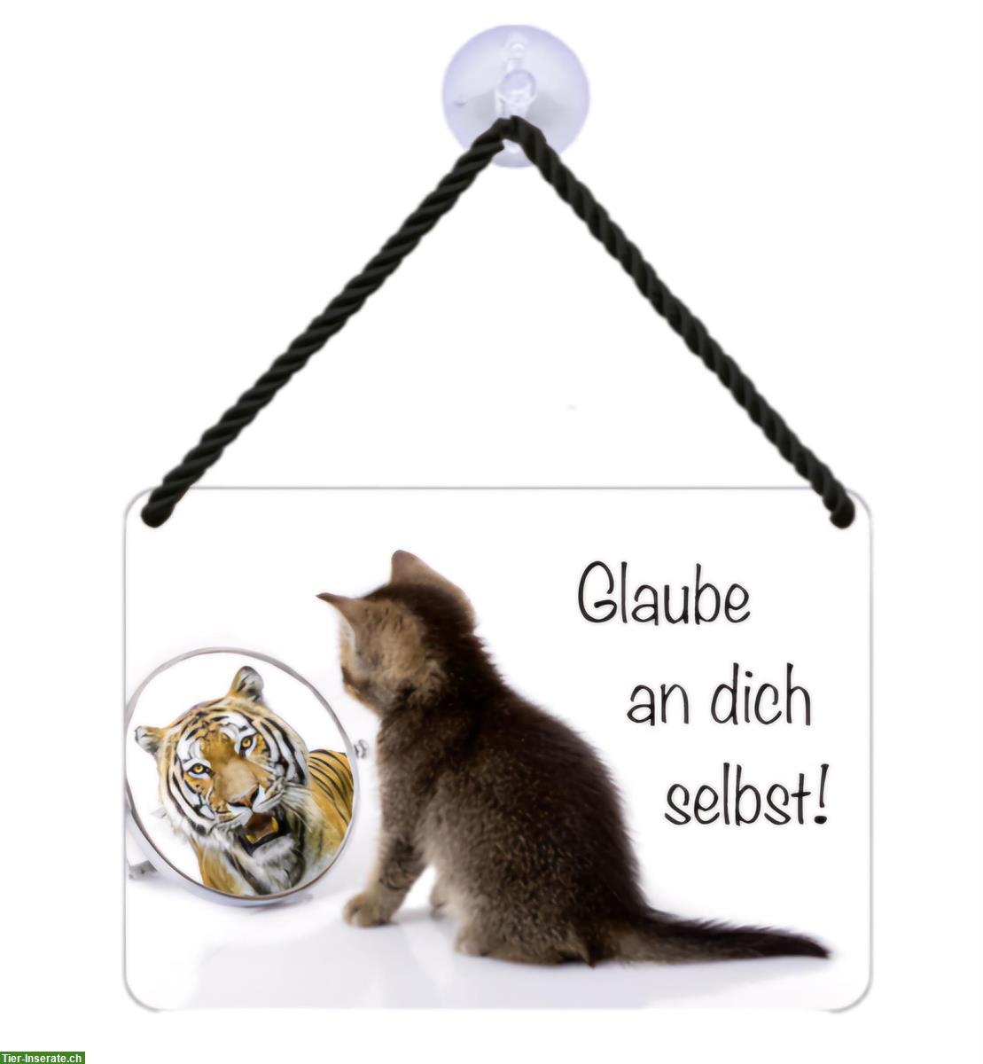 Bild 2: NEU: Katzen 🐱 Blechschild glaube an Dich selbst!