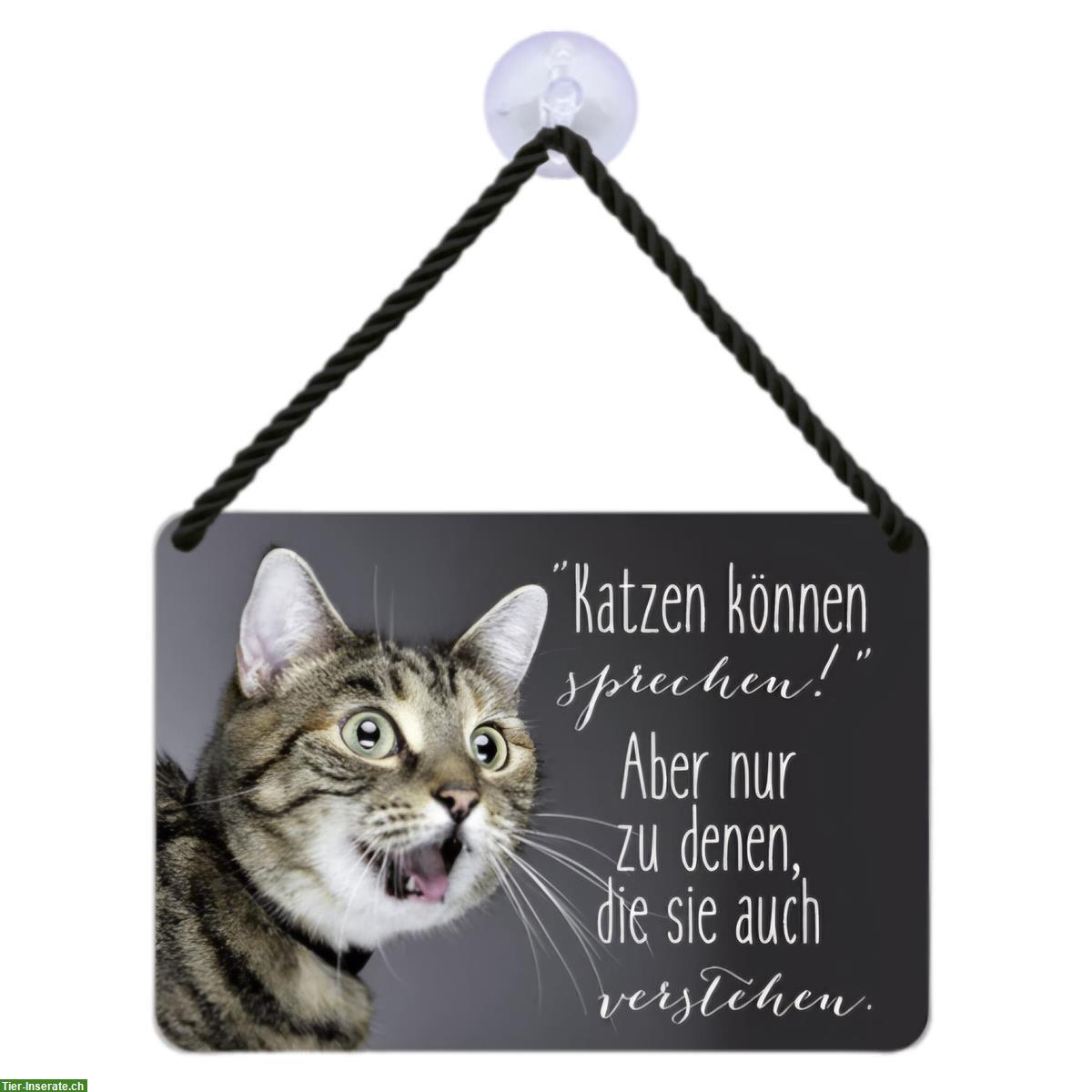 Bild 2: NEU: Katzen 🐱 Blechschild Katzen können sprechen