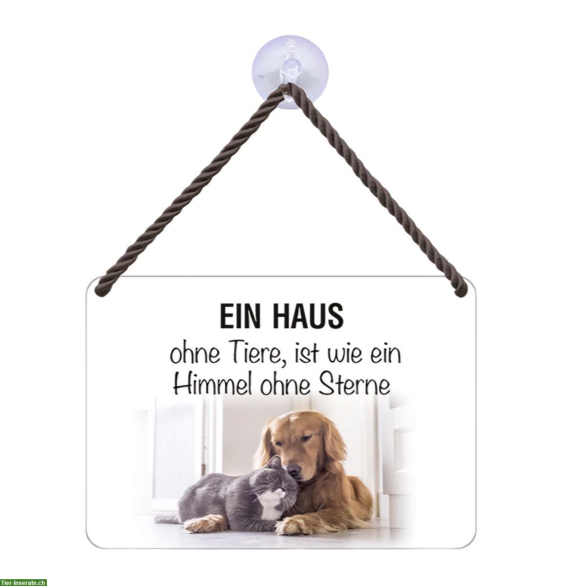 Bild 2: NEU: Katzen 🐱 Blechschild Haus ohne Tiere