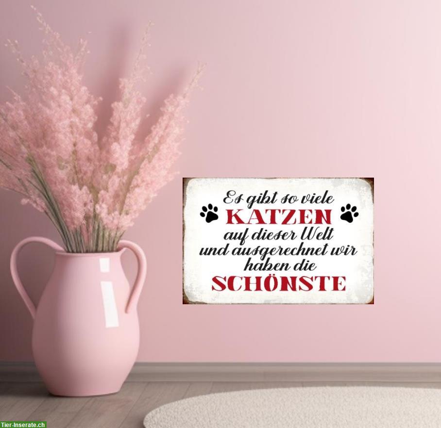 NEU: Katzen 🐱 Blechschild schönste Katze der Welt