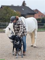 Bieten Tierbetreuung mit Herz ❤️