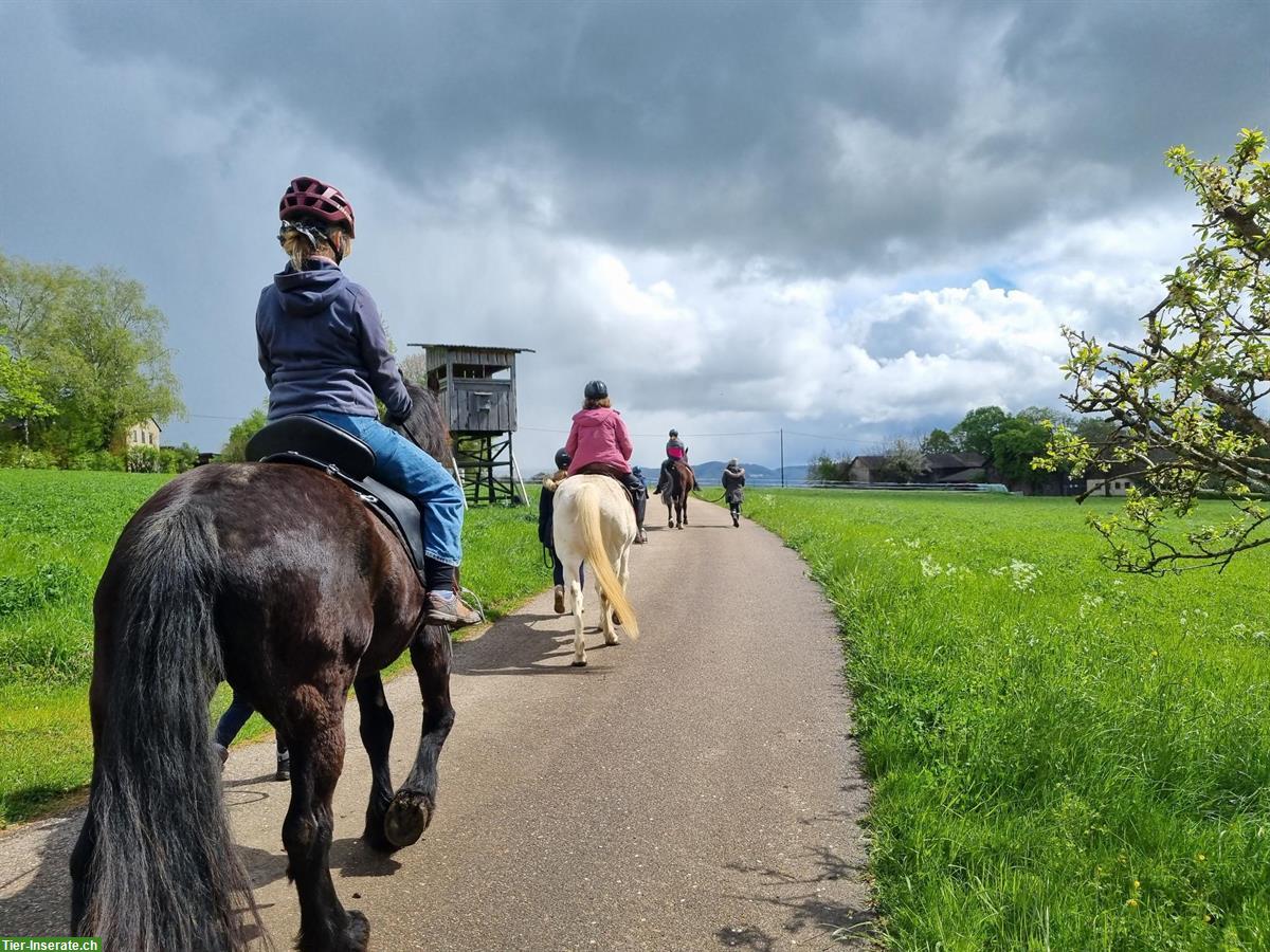 Tolle Ponyzeit für Kinder und Jugendliche