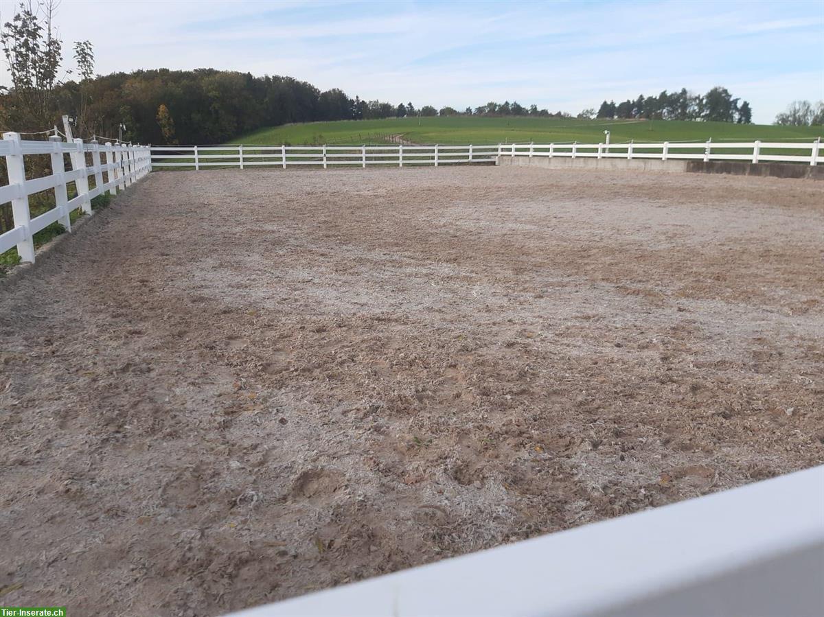 Bild 3: Pferdeauslaufboxen zu vermieten im Oberbaselbiet