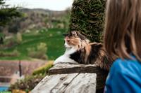 Tierbetreuung Zuhause mit Herz | Katzen & Kleintierbetreuug