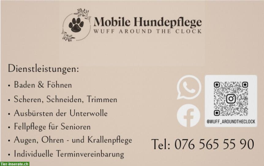 Mobile Hundepflege - Schneiden, Scheren, Trimmen...