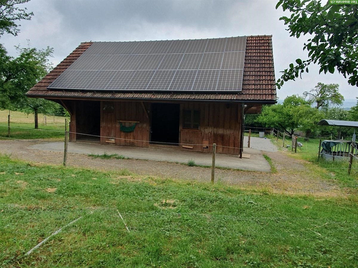 Bild 2: Offenstallplatz frei zwischen Frauenfeld - Winterthur