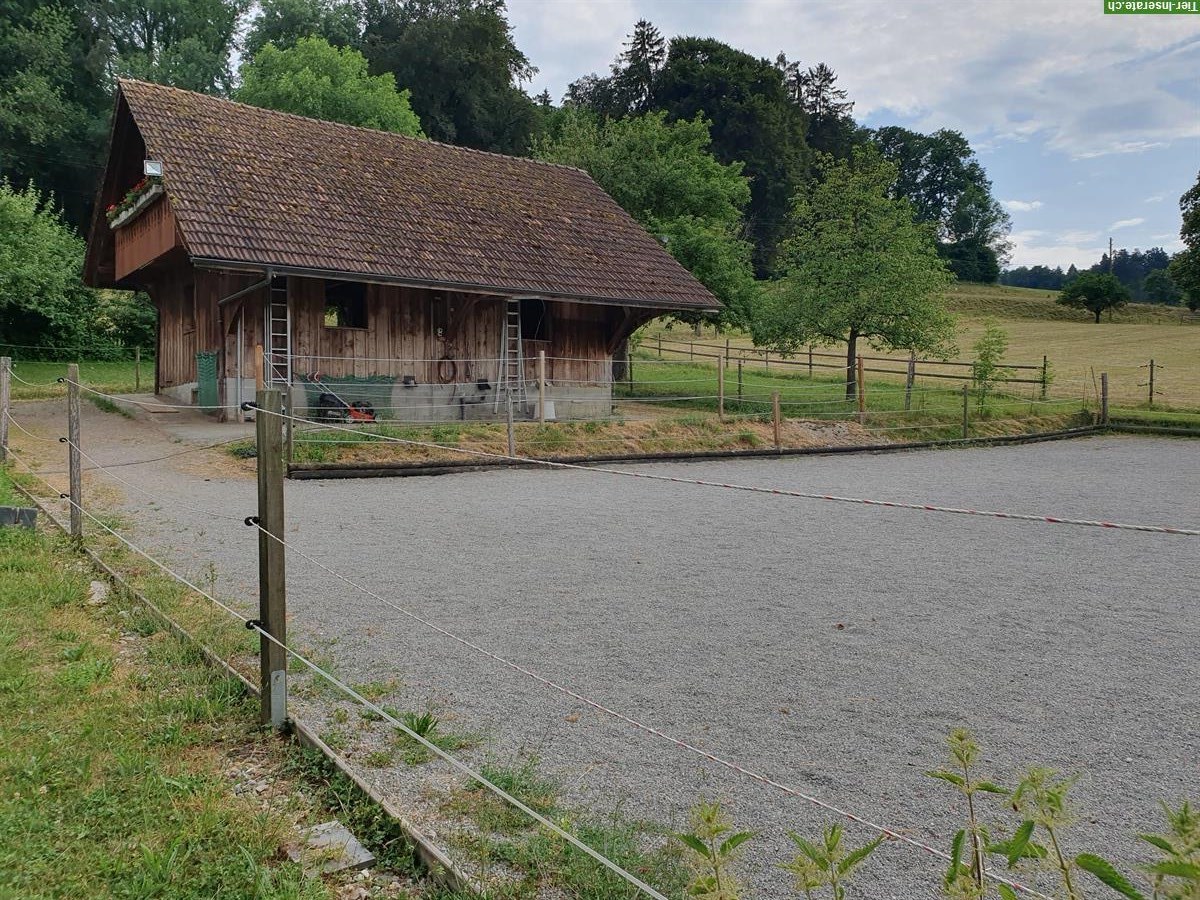 Bild 3: Offenstallplatz frei zwischen Frauenfeld - Winterthur