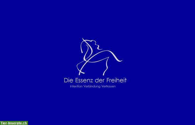 Die Essenz der Freiheit - Reitunterricht für dein Pferd und dich!