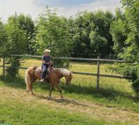 Western - Reitbeteiligung für Quarter Horse Stute