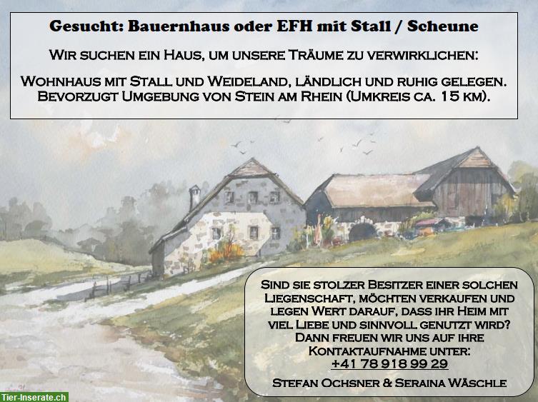 Suchen Bauernhaus oder EFH mit Stall / Scheune