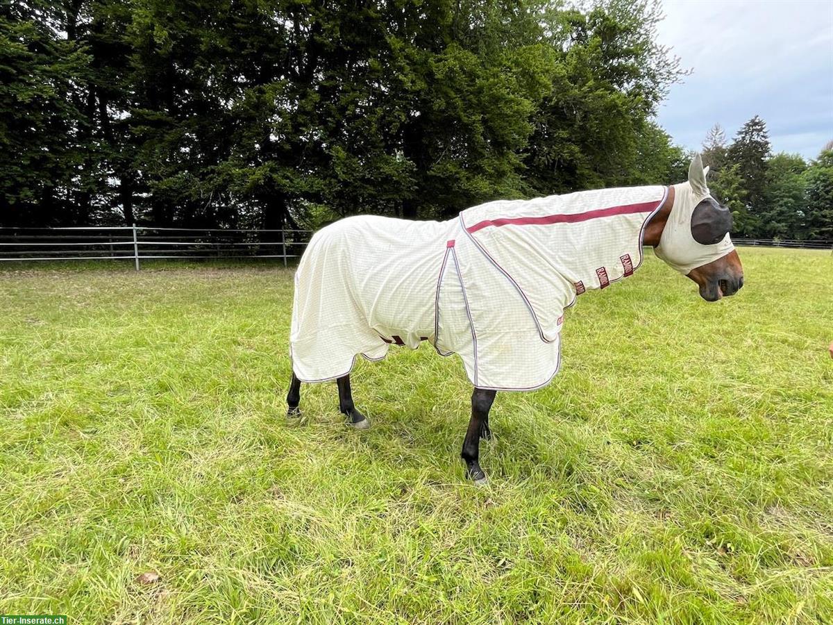 Neuwertig! Fliegendecke Horseware Rambo Optimo Summer Sheet 165