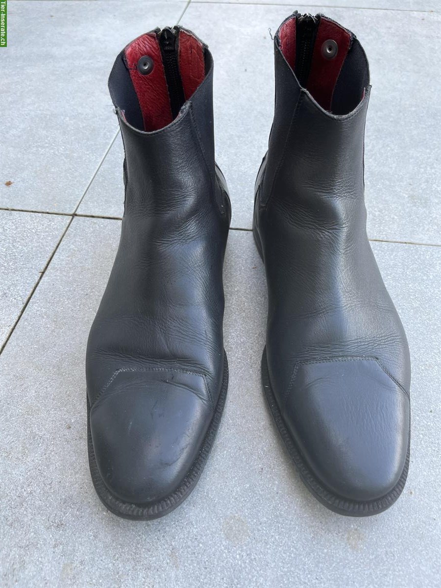 Animo Zeus schwarz Stiefeletten / Reitschuhe, Grösse 41