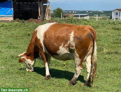 Bild 3: Unterstützung für einen kleinen Bauernhof nach Viehdiebstahl