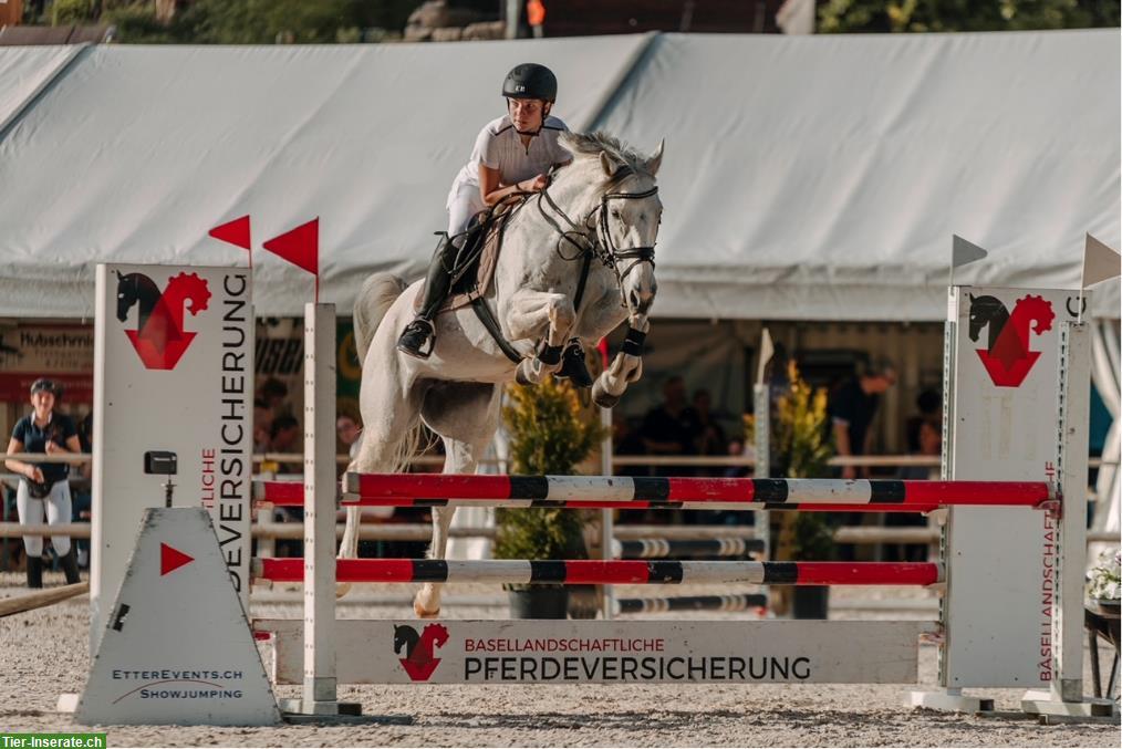 Bild 2: Biete Reitbeteiligung / Halbpension in Liestal BL