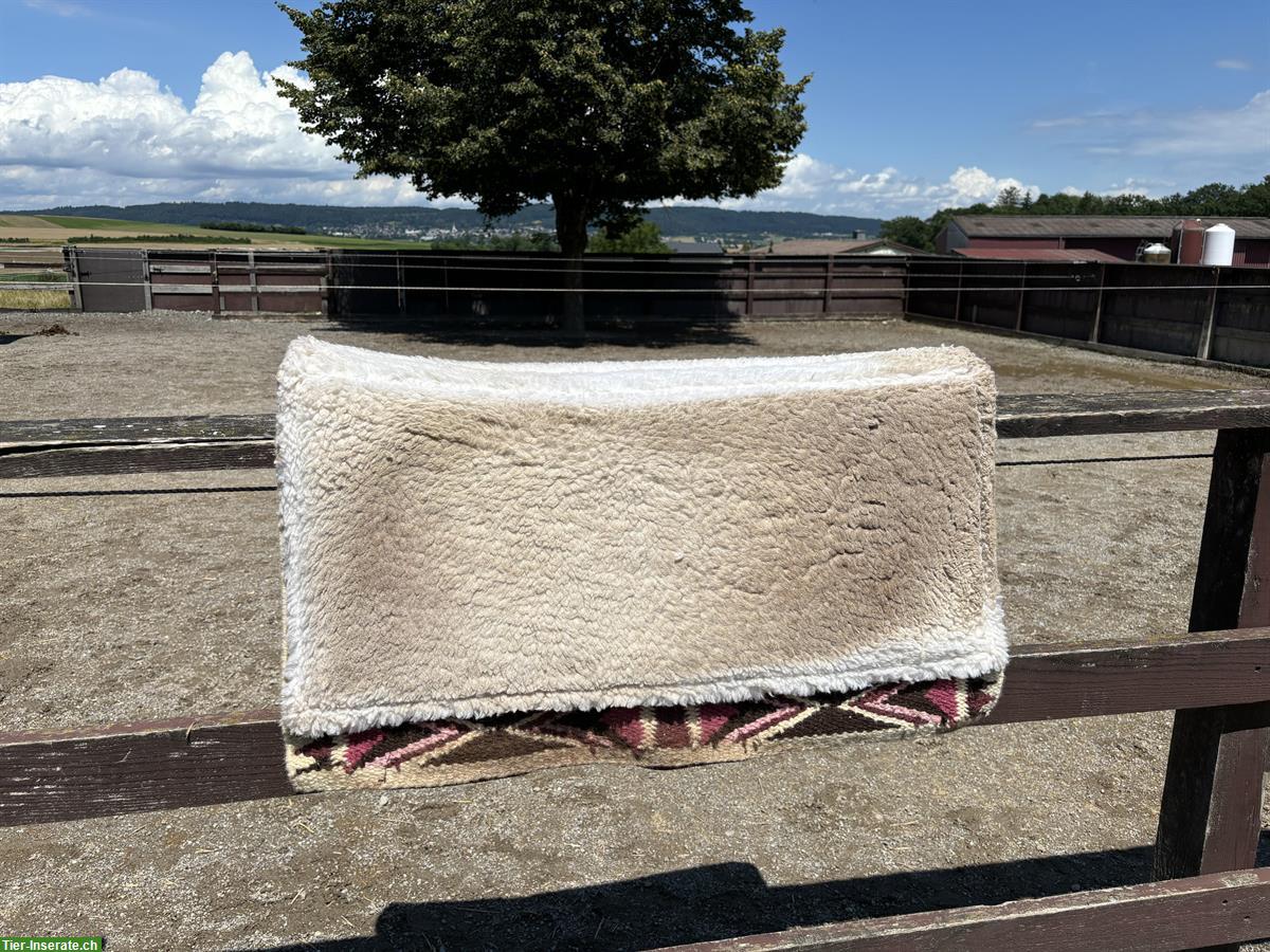 Bild 2: Westernpad - Western Imports CSF - Pad Zuma, 83cm