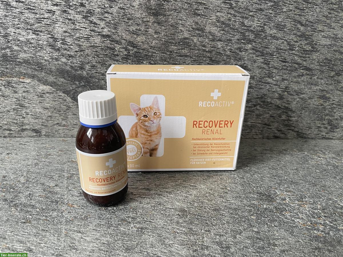 RECOVERY Renal Katze - Hochkalorisches Flüssigfutter