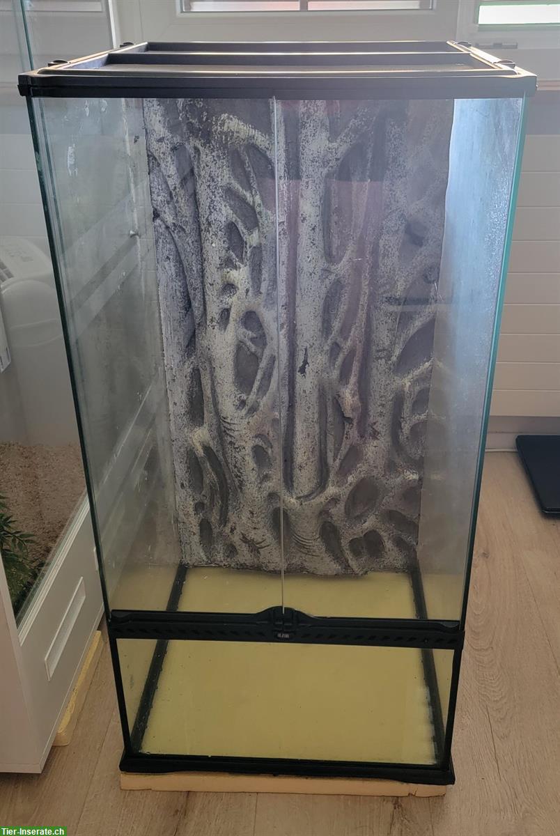 Exo Terra Glasterrarium 45x45x90cm