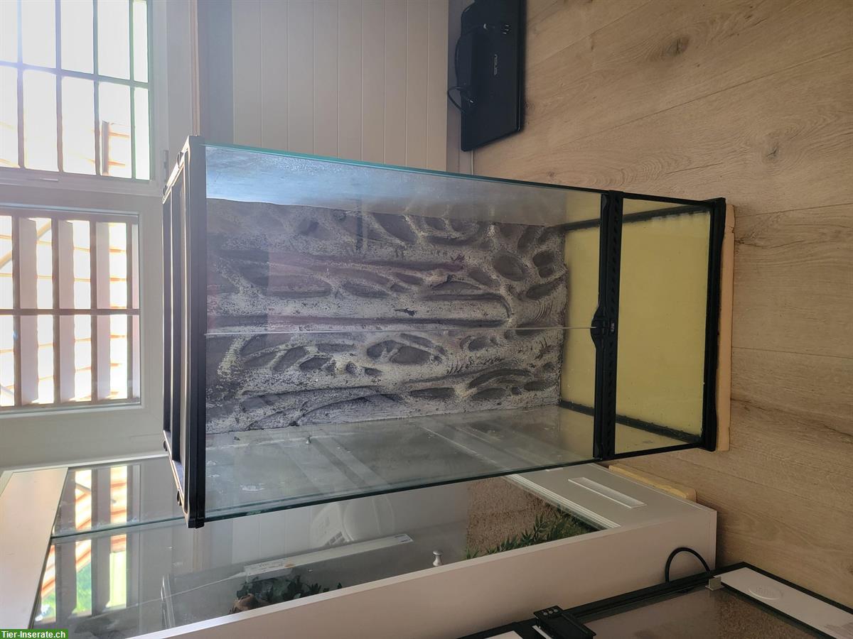 Bild 2: Exo Terra Glasterrarium 45x45x90cm