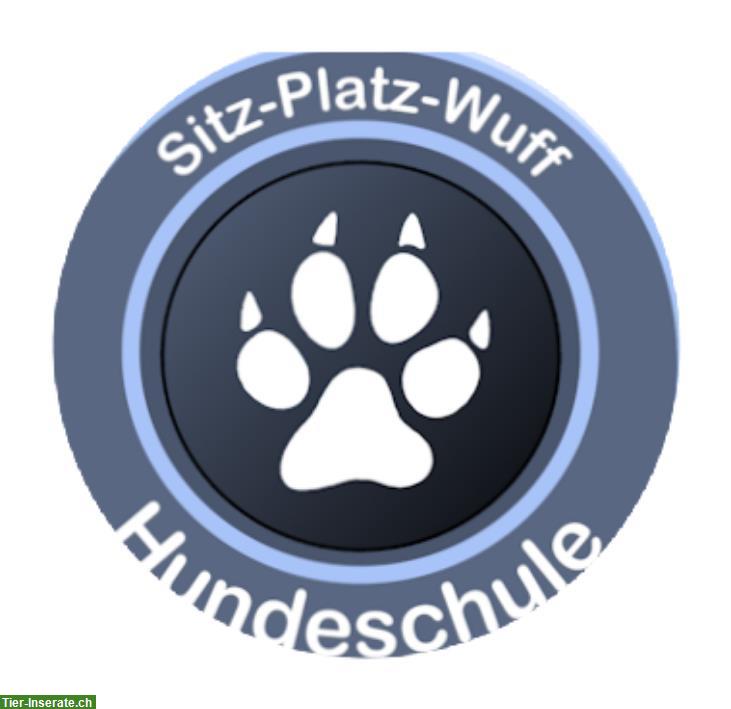 Wiese für Hundeschule gesucht