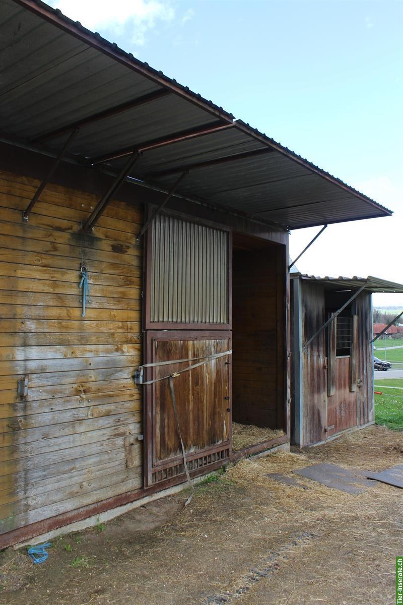 Bild 10: 2 Pferdeboxen Container, Ecoraster Gummimatten, Pferdestall Unterstand