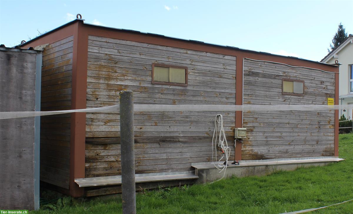 Bild 3: 2 Pferdeboxen Container, Ecoraster Gummimatten, Pferdestall Unterstand