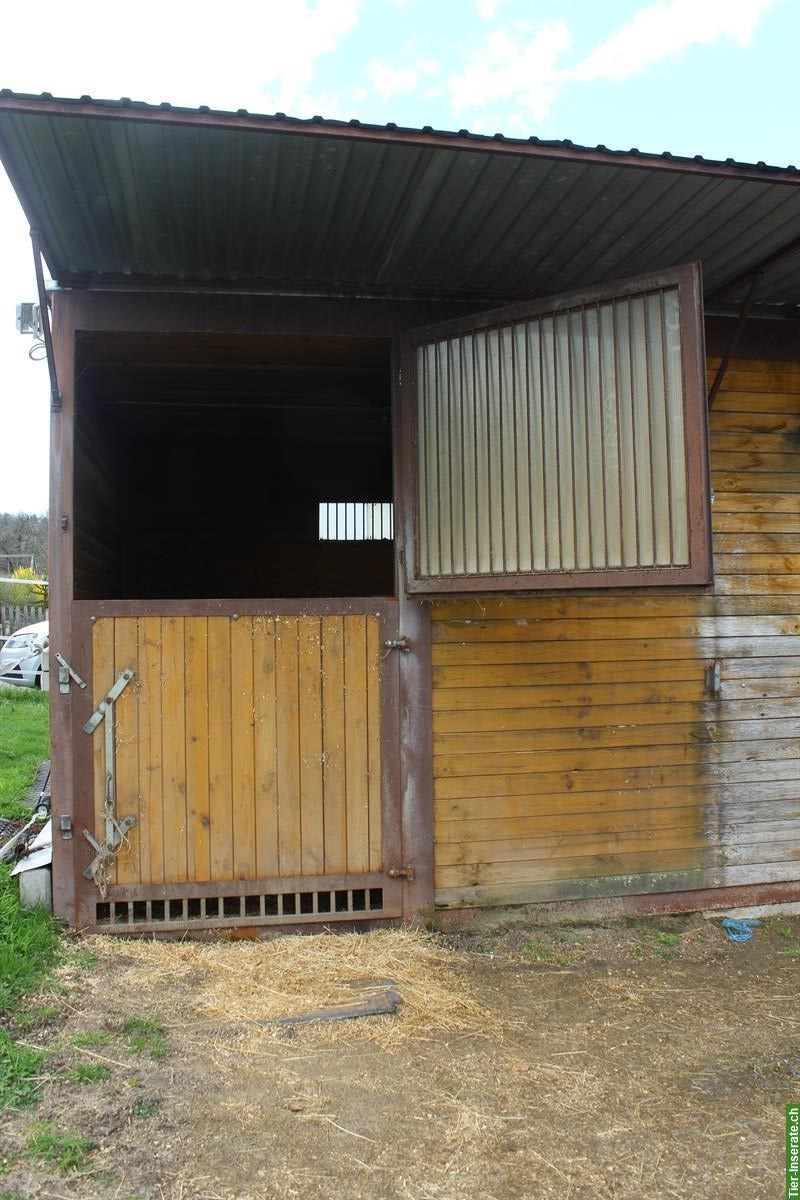 Bild 9: 2 Pferdeboxen Container, Ecoraster Gummimatten, Pferdestall Unterstand