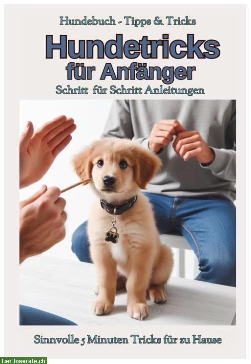 Hundebuch mit Tipps & Hundetricks für Anfänger, Welpen