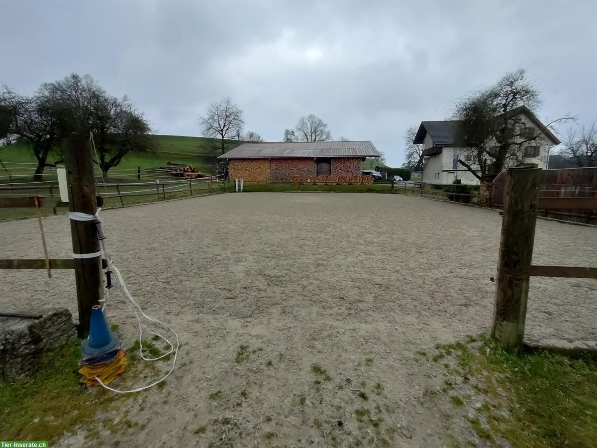 2 Auslaufboxen zu vermieten in Hermetschwil-Staffeln AG