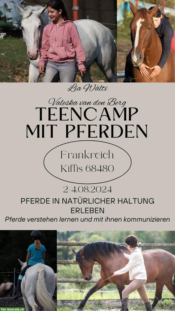 Teencamp mit Pferden 2. bis 4. August im Elsass, Frankreich